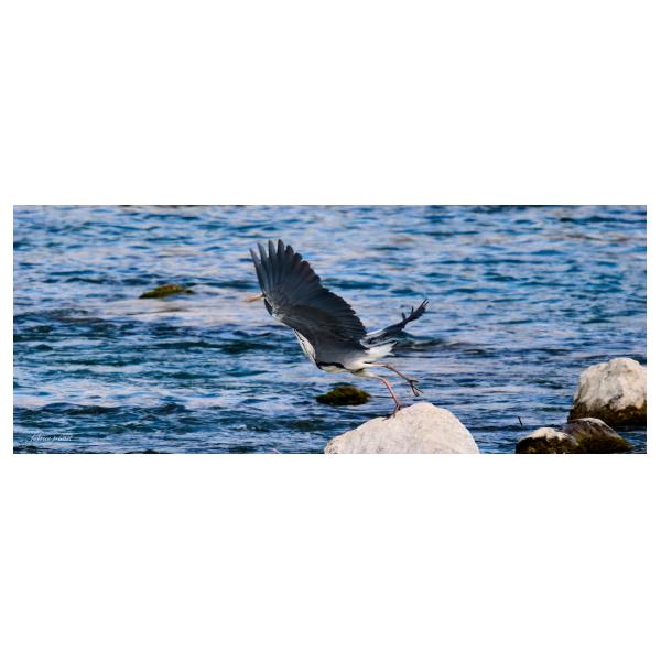 PHOTO84, CLUB, 84 , LUBERON